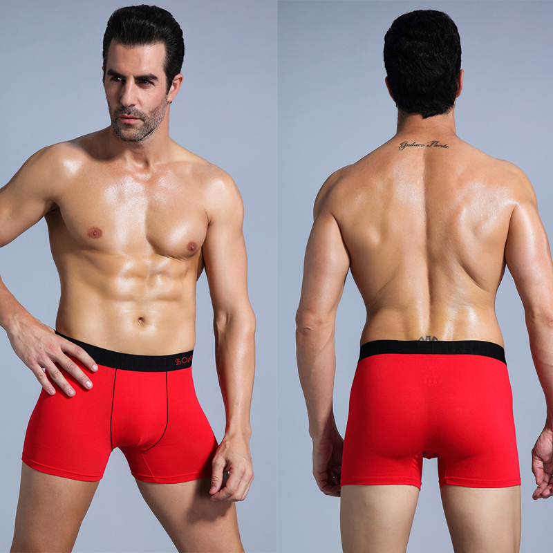 6pcs 화이트 남자 팬티 코 튼 복서 남자 속옷 팩  - Multi Pack Underwear 리뷰 및 가격